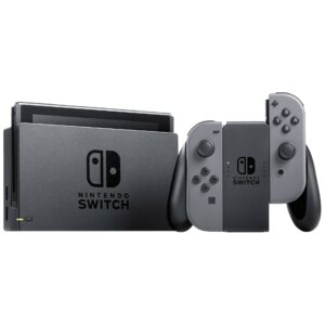 Interruptor Gris (nuevo modelo 2019)