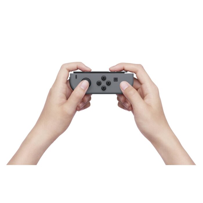 Interruptor Gris (nuevo modelo 2019) - Imagen 12