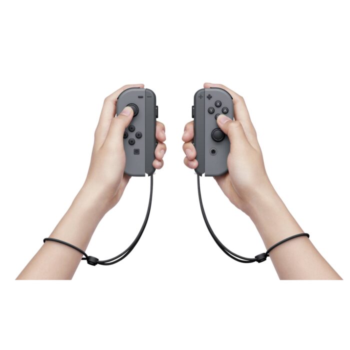 Interruptor Gris (nuevo modelo 2019) - Imagen 13