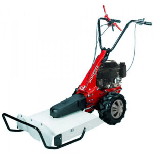 Eurosystems Minieffe RM Loncin 196